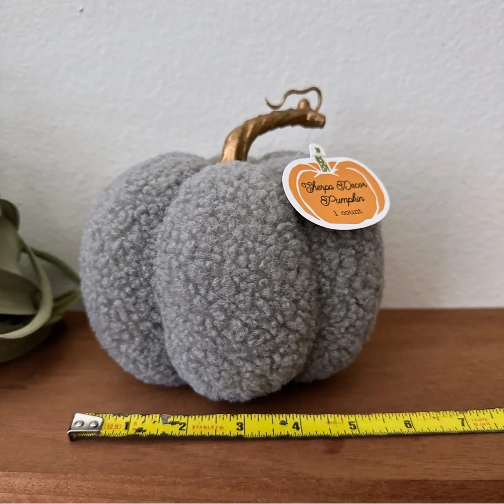 LAST ONE 🔥 Target Bullseye Halloween Pumpkin Gray